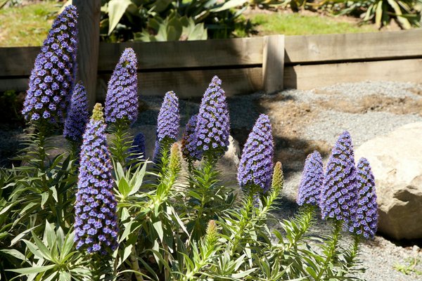 Quels sont les avantages d'utiliser une shampouineuse pour nettoyer ses moquettes ?