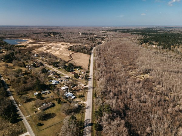 Techniques pour cultiver des baies rares en milieu urbain ?