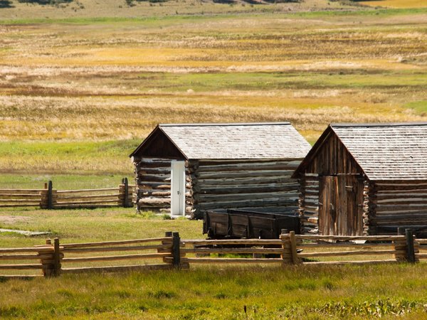 Comment créer un jardin d'hiver florissant dans un climat froid ?