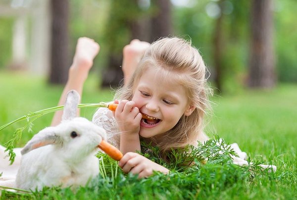 Astuces pour apprendre à son enfant comment nourrir son lapin