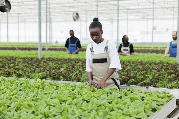 Quelle est la méthode de remplacement du fil de débroussailleuse ?