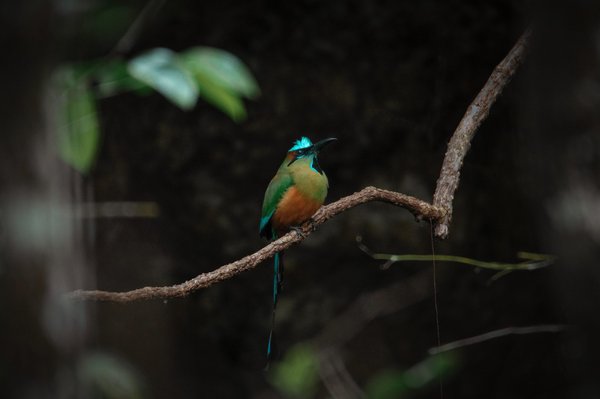 7 Astuces pour créer un espace détente multifonctionnel dans votre salon